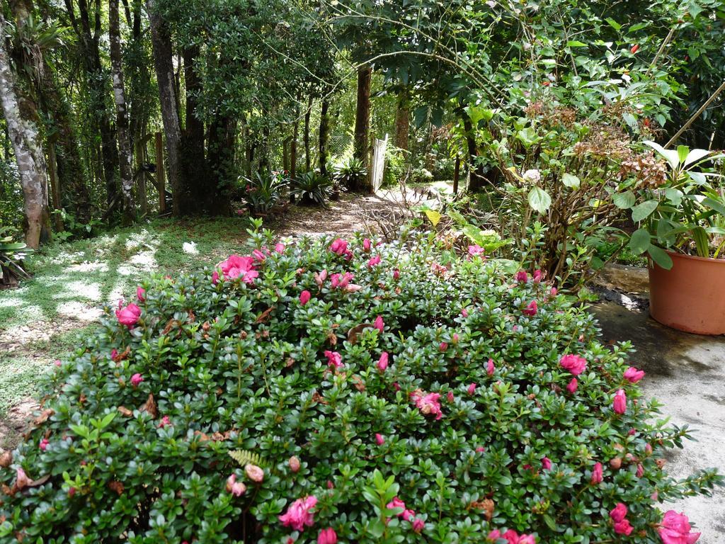 Aromas Da Serra II Campos do Jordão Eksteriør billede